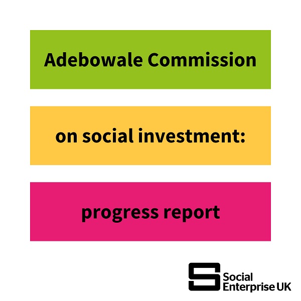 a green bar with the words Adebowale Comission, a yellow bar with the words on social investment and a pink bar stating progress report